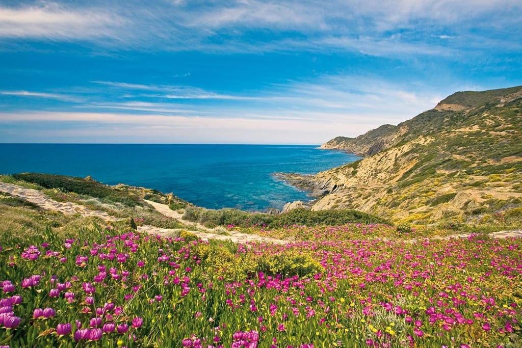 Villa Del Porto La Terrazza 포르토스쿠소 외부 사진